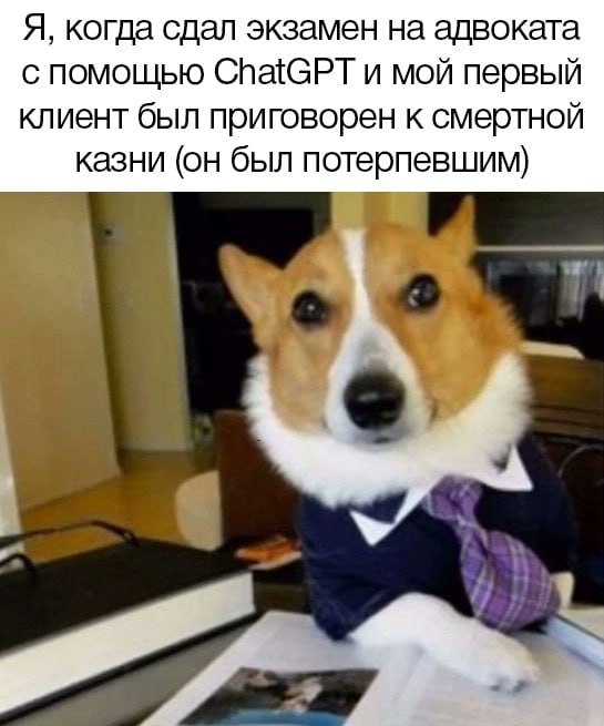 Я, когда сдал экзамен на адвоката с помощью ChatGPT и мой первый клиент был приговорен к смертной казни (он был потерпевшим