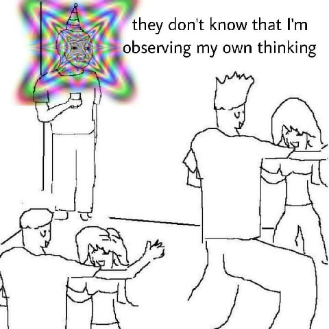 they don't know that observing my own thinking