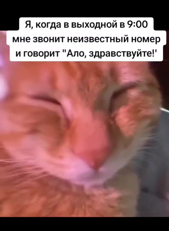 Я, когда в выходной в 9:00 мне звонит неизвестный номер , и говорит "Ano, здравствуйте!"