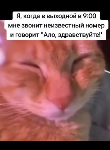 Я, когда в выходной в 9:00 мне звонит неизвестный номер , и говорит "Ano, здравствуйте!"