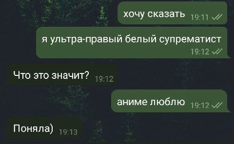 хочу сказать я ультра-правый белый супрематист Что это значит? аниме люблю Поняла)