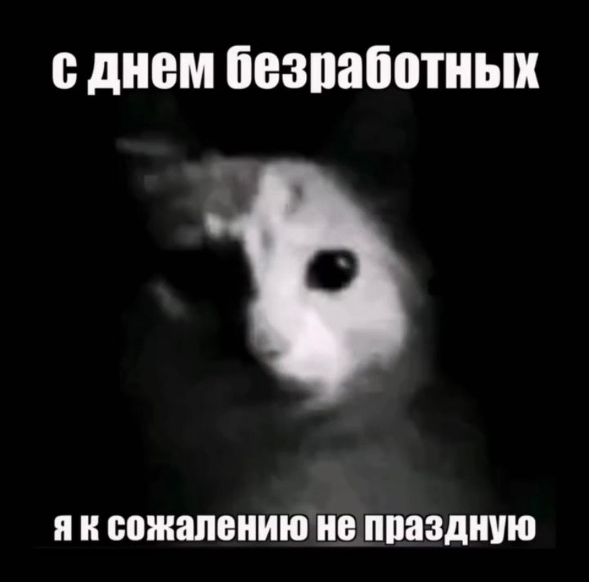 с днем безработных сожалению не праздную