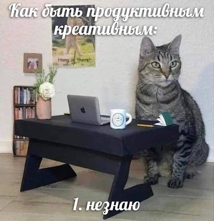 ape 11 24 4 незнаю