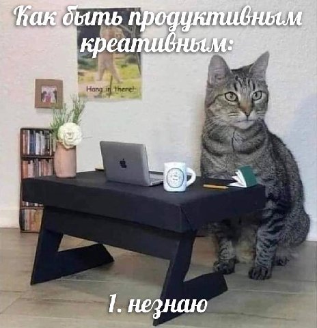 ape 11 24 4 незнаю