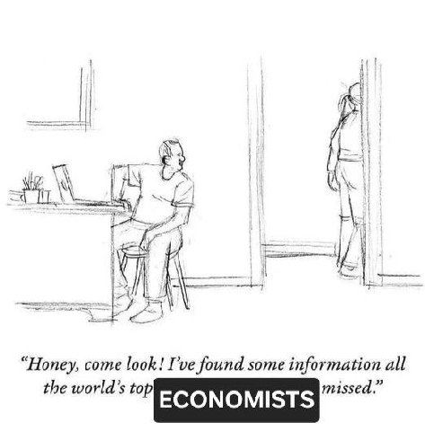 Я i/ “Honey, come look! I’ve found some information all the world’s top ECONOMISTS missed.”
