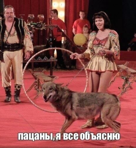 i сор всеобъяснк всеобъясню