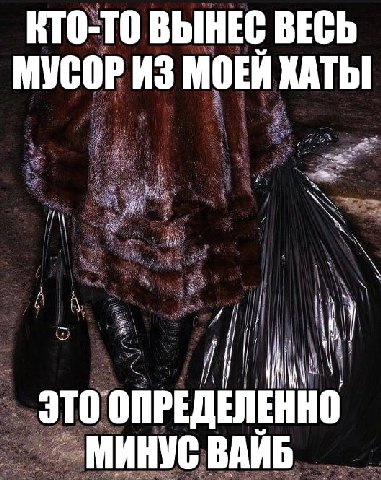 КТО-ТО ВЫНЕС ВЕСЬ МУСОР ИЗ МОЕЙ ХАТЫ ЭТО ОПРЕДЕЛЕННО МИНУС ВАИБ