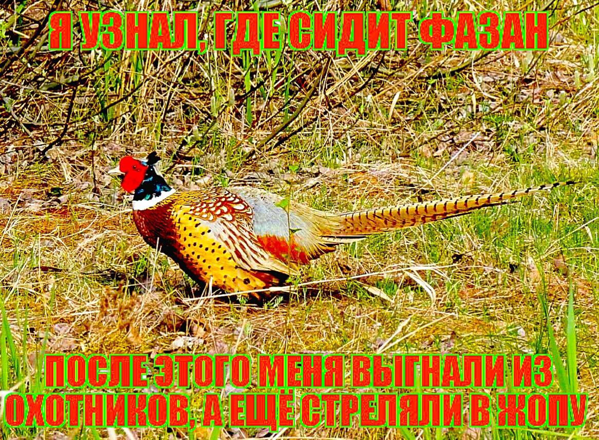 “A 7”. AS an A а he? IN к ^^4 14 №4 AN и. “и AS itA woe AN 4 в. A aff fac Vay ide we be ally A 7) ARS 5 omy AS a 17 О Nal aay TEN и- 3.7 or 0 21 aan A и an ide 2 we у. oft as 6 if Wen и tat das 4 val 