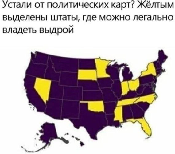 Устали от политических карт? Жёлтым выделены штаты, где можно легально владеть выдрой