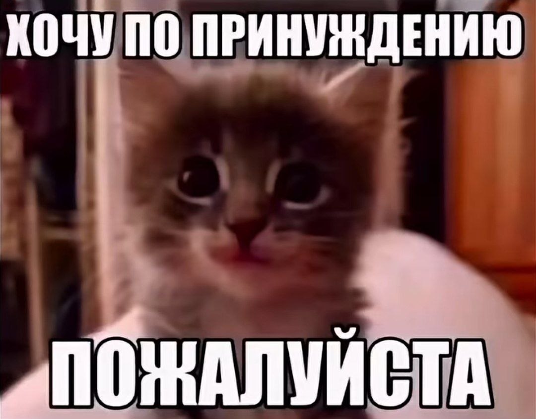 КОЧУ ПО ПРИНУЖДЕНИЮ
