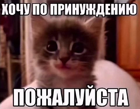 КОЧУ ПО ПРИНУЖДЕНИЮ