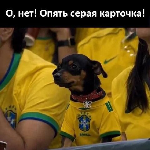 О, нет! Опять серая карточка!