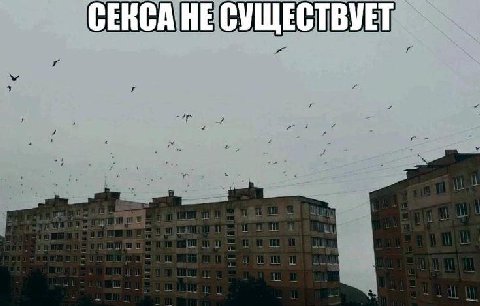 CERCA НЕ СУЩЕСТВУЕТ