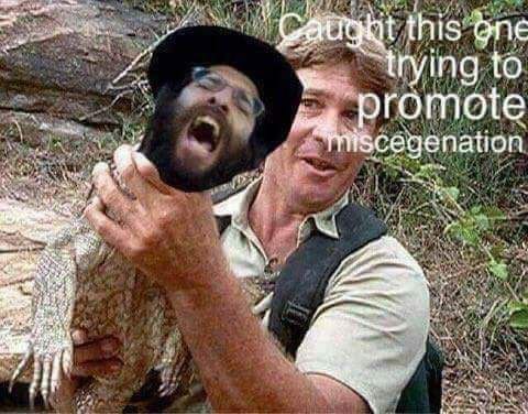 this promote