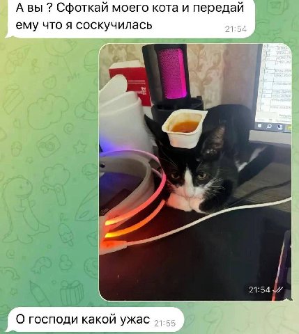 А вы Сфоткай моего кота и передай ему что я соскучилась 1:54 О господи какой ужас