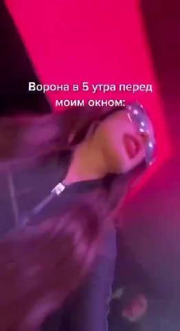 Ворона в 5 утра пере МОИМ ОКНОМ: |