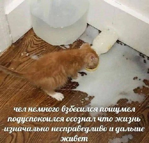 и wil чел немного поииу мел подуспокоился осознал что жизнь изначально неспрабедлибо и дальше жибет
