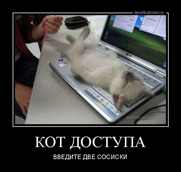 demotivatorium.ru КОТ ДОСТУПА ВВЕДИТЕ ДВЕ СОСИСКИ