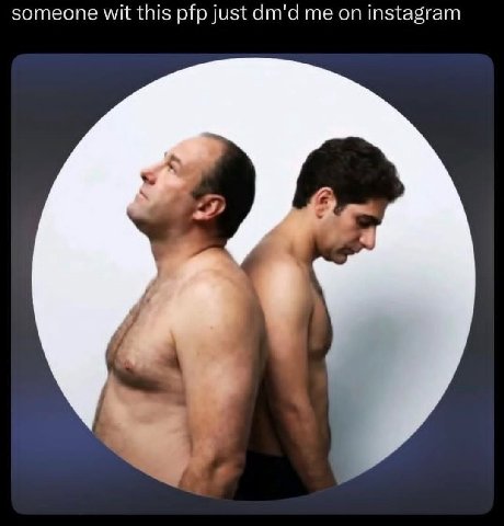 someone wit this pfp just dm'd me on instagram