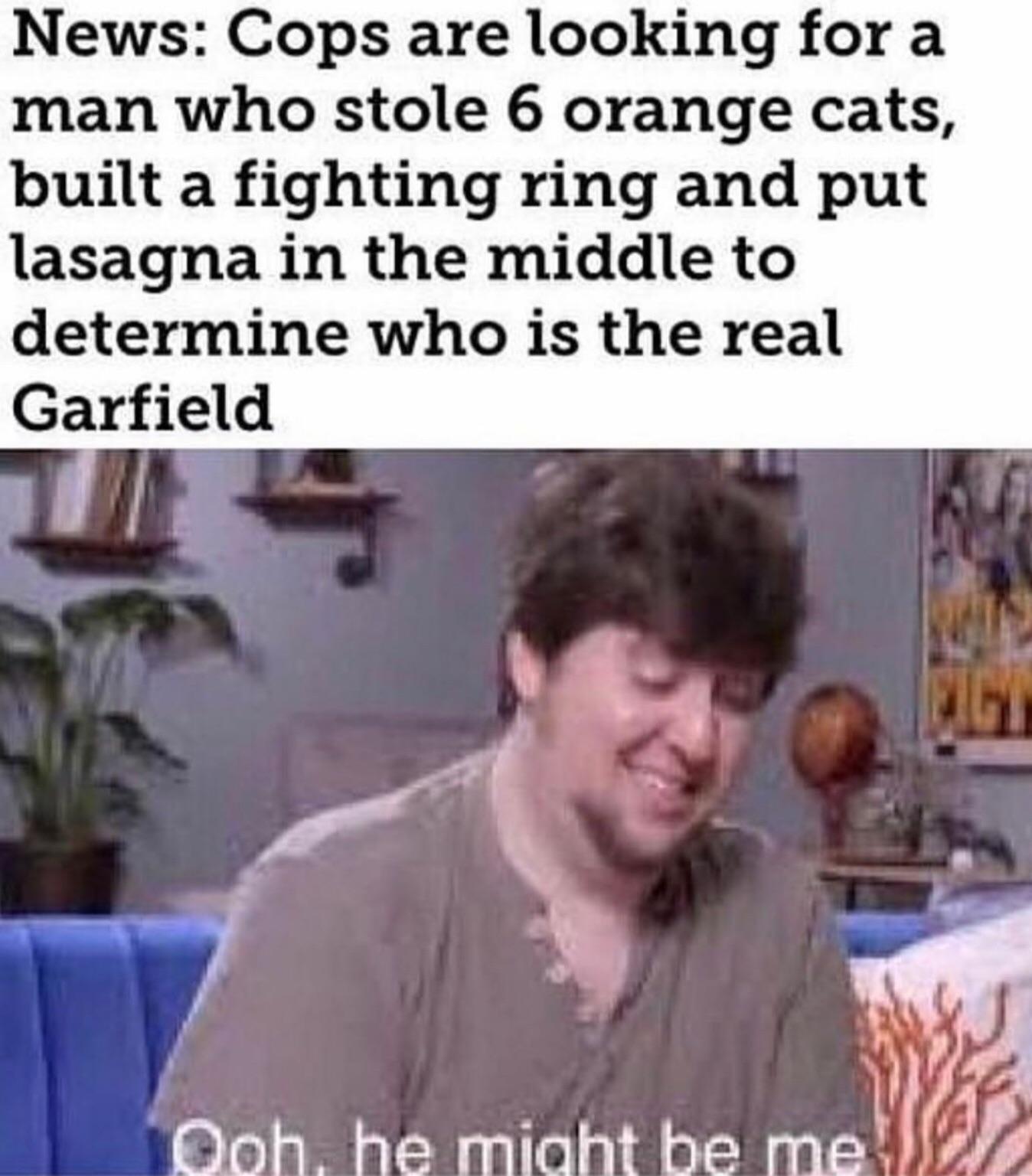 News: Cops are looking fora man who stole 6 orange cats, built a fighting ring and put lasagna in the middle to determine who is the real Garfield Hoh. he mioht be