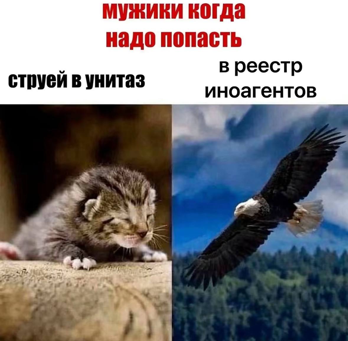 мужики когда надо попасть струей в унитаз в реестр иноагентов 4