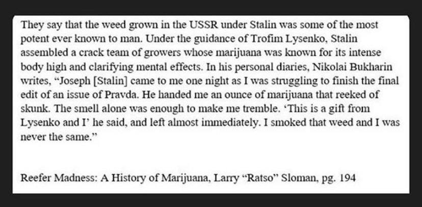 They say that the weed grown in the USSR under Stalin was some of the most potent ever known to man. Under the guidance of Trofim Lysenko, Stalin assembled a crack team of growers whose marijuana was 