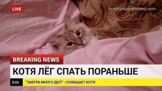 LIVE breakyourownnews.com a BREAKI NEWS КОТЯ ЛЁГ СПАТЬ ПОРАНЬШЕ "ЗАВТРА МНОГО ДЕЛ" СООБЩАЕТ КОТЯ