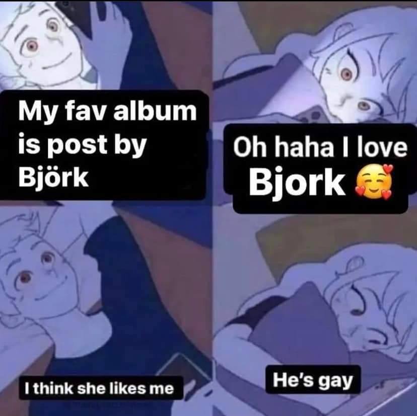 My fav album is post haha love Bjork Bjork I think she likes me He's gay