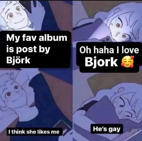 My fav album is post haha love Bjork Bjork I think she likes me He's gay