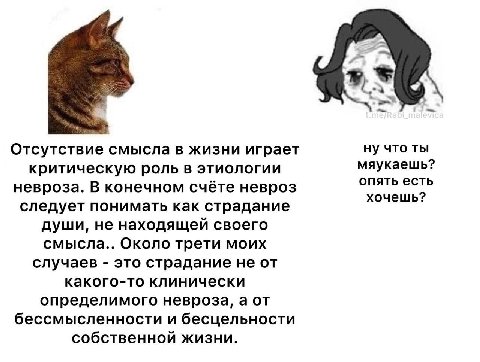 Отсутствие смысла в жизни играет ну что ты мяукаешь? критическую роль в этиологии опять есть невроза. В конечном счёте невроз хочешь? следует понимать как страдание души, не находящей своего смысла.. 
