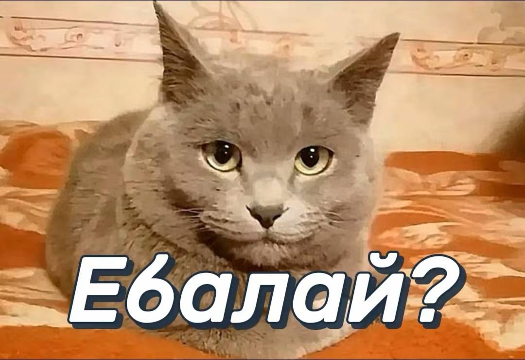 балай?: И