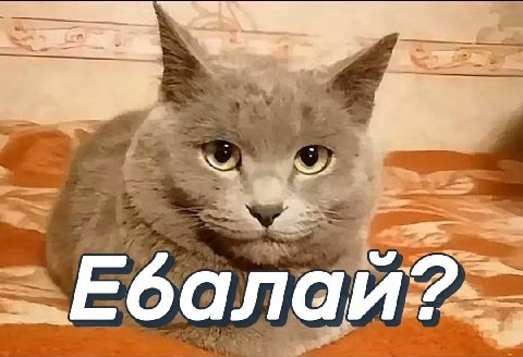балай?: И