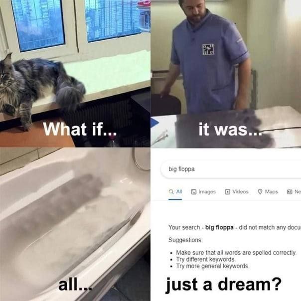 it was.. What if... big floppa Your search big floppa did not match any docu Suggestions Make sure that all words are correctly Try different keywords Try more general keywords all. just a dream?