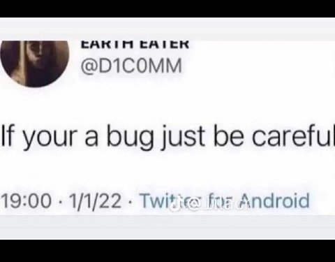 САК САТСК @DICOMM If your a bug just be careful 19:00 1/1/22 Twit Android