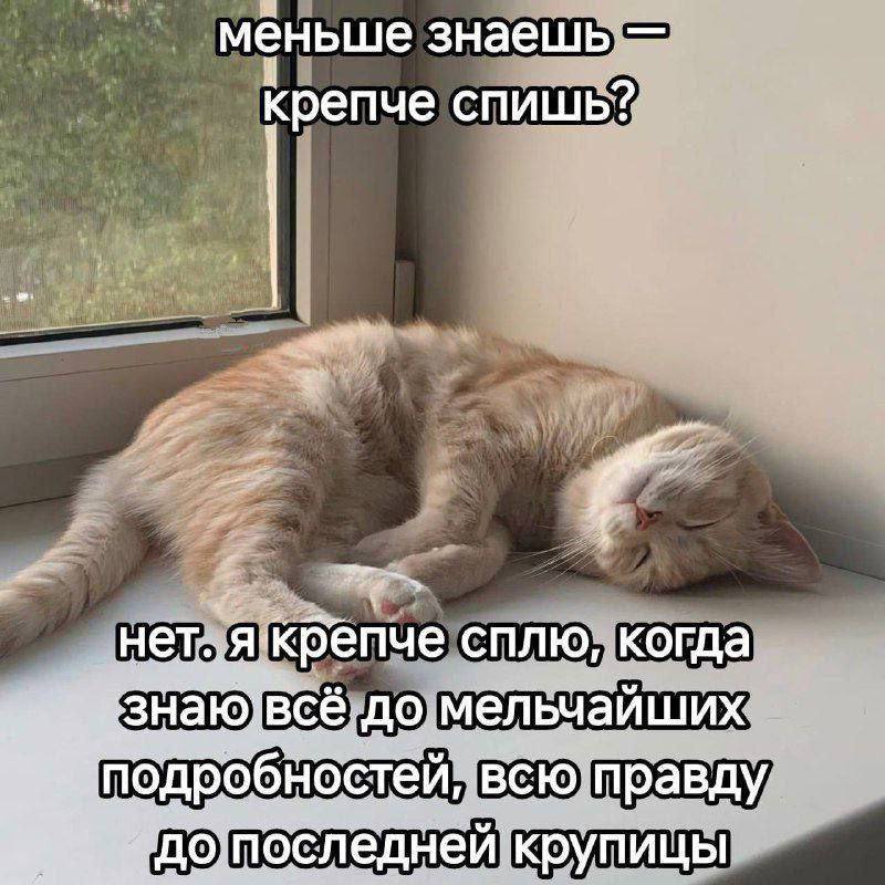 меньше знаешь крепче спишь? penue сплю, когда чайших равду