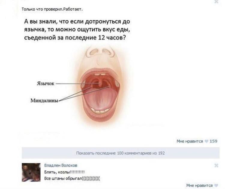 Только что проверил.Работает. Авы знали, что если дотронуться до язычка, то можно ощутить вкус еды, съеденной за последние 12 часов? Язычок Миндалины Мне нравится 159 Показать последние 100 комментари