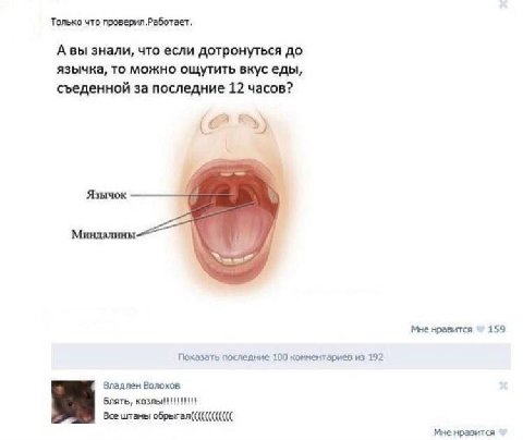 Только что проверил.Работает. Авы знали, что если дотронуться до язычка, то можно ощутить вкус еды, съеденной за последние 12 часов? Язычок Миндалины Мне нравится 159 Показать последние 100 комментари