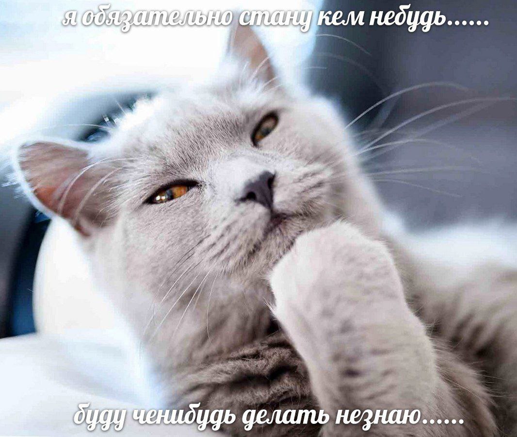 сета GOS А. небдудь.. делать незнаю