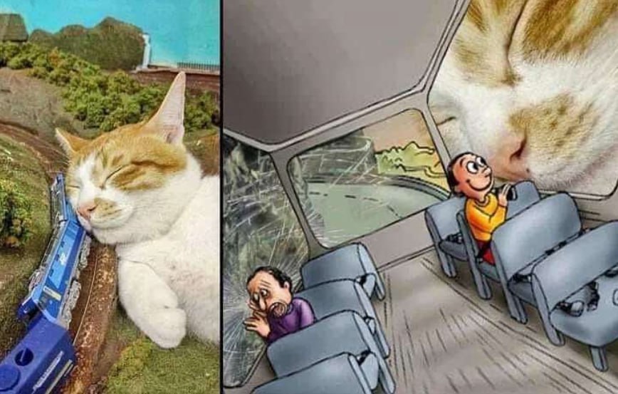 ВУДУ я