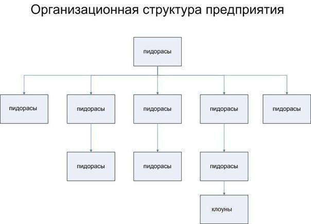 Организационная структура предприятия