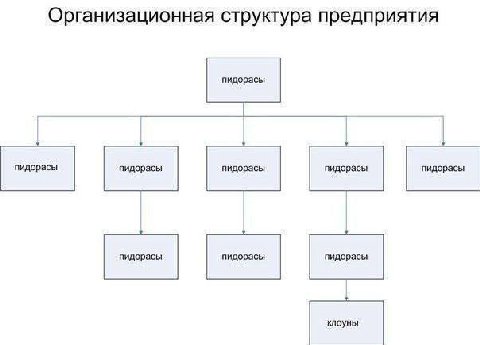 Организационная структура предприятия