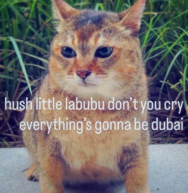 пизй little labubu don't you cry gonna be