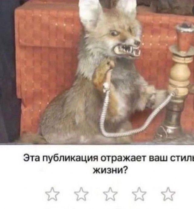 a, Эта публикация отражает ваш стил жизни?