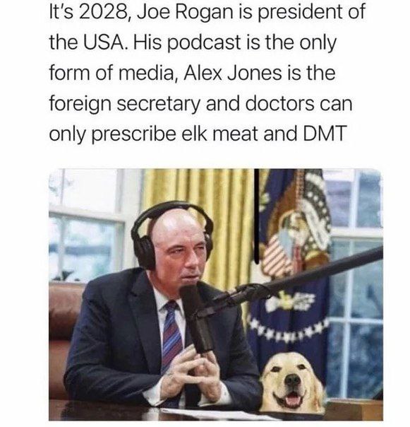 It's 2028, Joe Rogan is president of the USA. His podcast is the only form of media, Alex Jones is the foreign secretary and doctors can only prescribe elk meat and DMT
