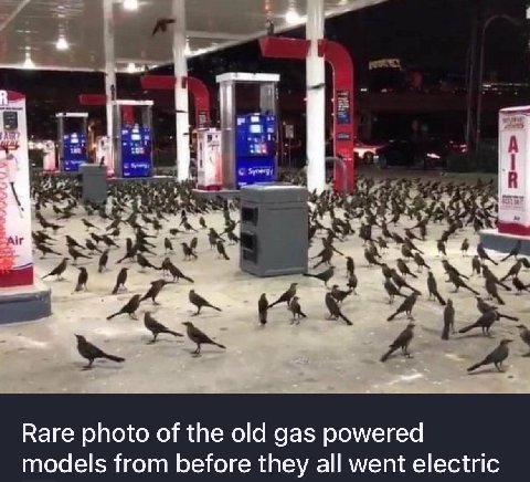 я 1 Rare photo of the old gas powered models from before they all went electric