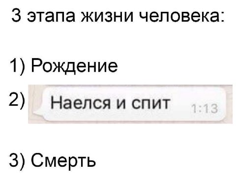 3 этапа жизни человека: 1) Рождение 2) Наелся и спит 3) Смерть