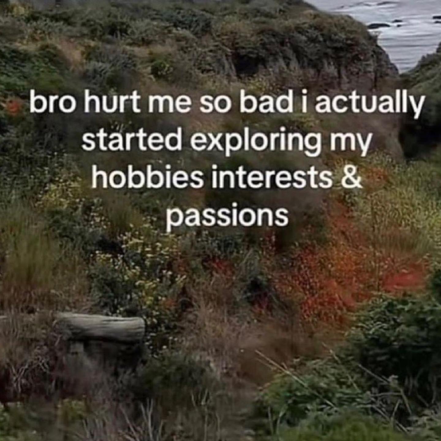 bro hurt me so bad actually started exploring my hobbies interests passions
