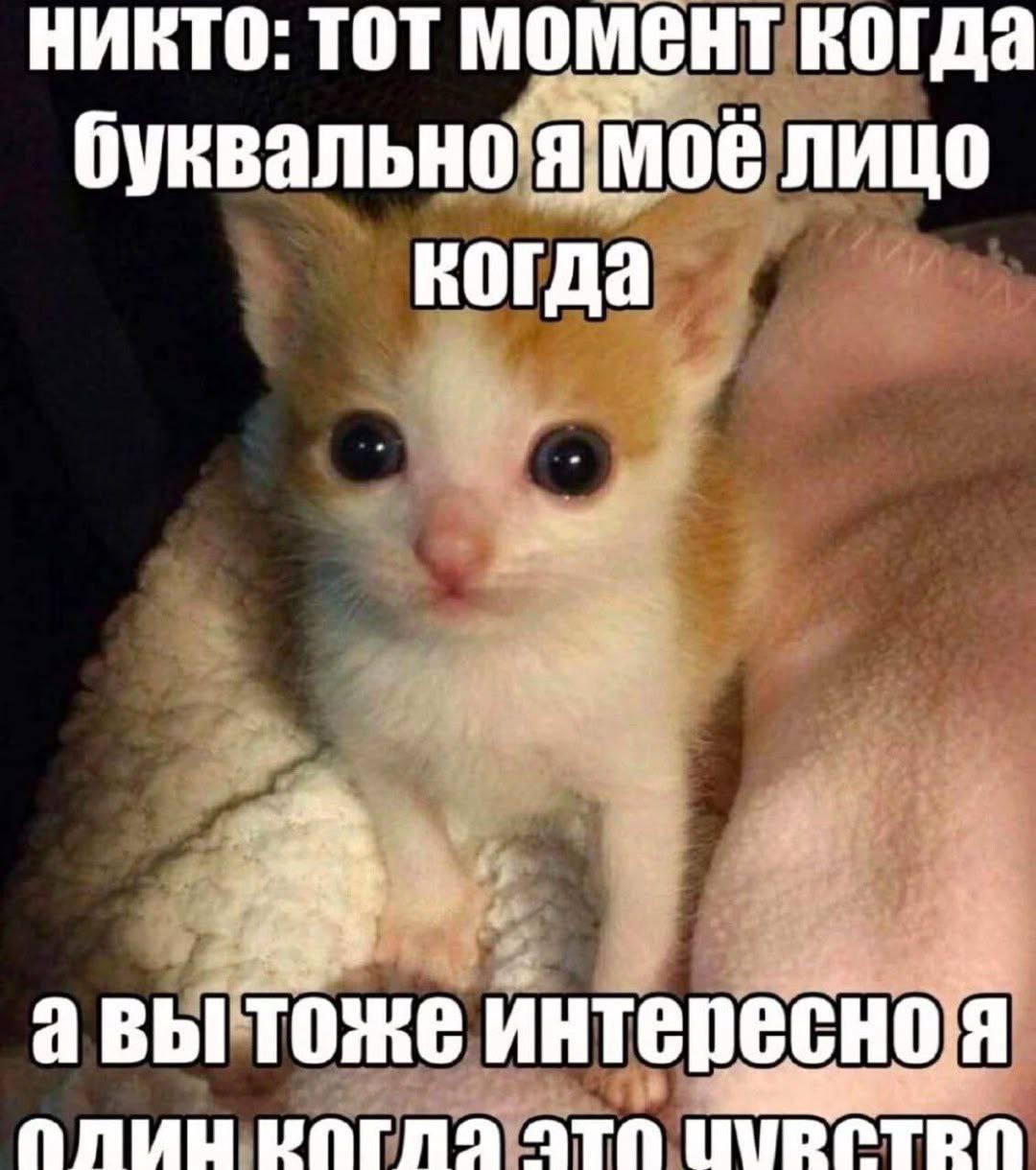 НИКТО: TOT MOMEHT когда моё лицо когда авы тоже интересноя ПЛИНЦ