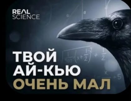REAL SCIENCE АИ-КЬЮ ОЧЕНЬ