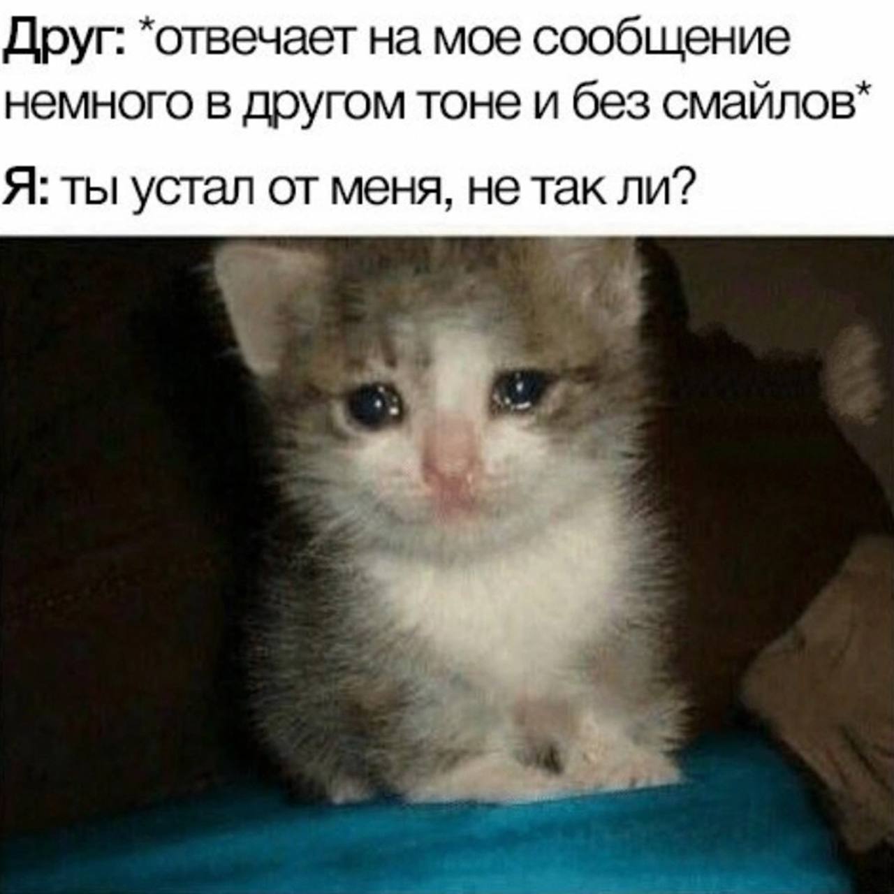 Друг: *отвечает на мое сообщение немного в другом тоне и без смайлов* Я: ты устал от меня, Tak ли?
